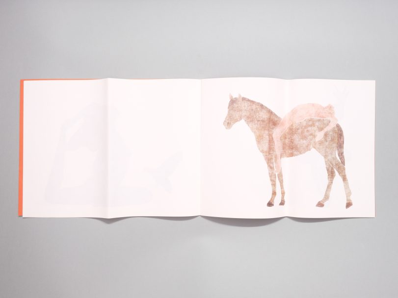 Down-Dog_Marta-Roberti_008