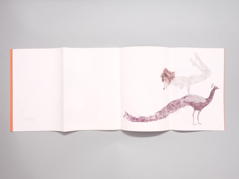 Down-Dog_Marta-Roberti_010