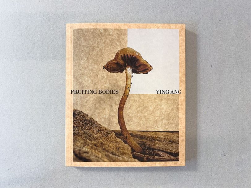 Fruiting-Bodies_Ying-Ang_001