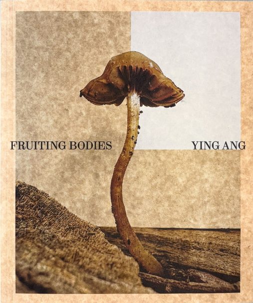 Fruiting-Bodies_Ying-Ang_002