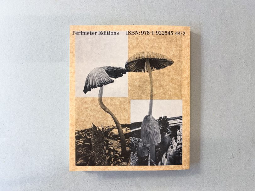 Fruiting-Bodies_Ying-Ang_009