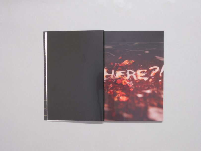 Here_Leonardo-Di-Stefano_004