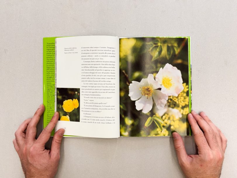 Il-giardino-di-Derek-Jarman_Howard-Sooley_006