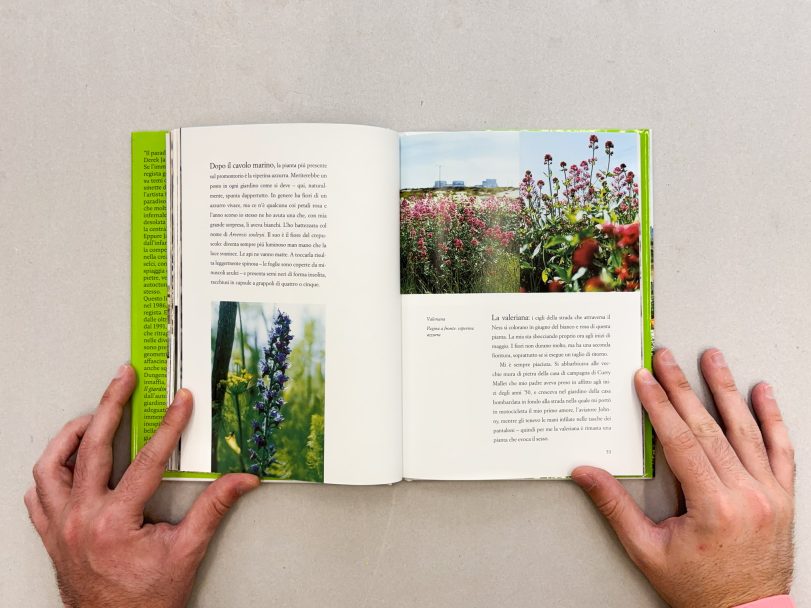 Il-giardino-di-Derek-Jarman_Howard-Sooley_007