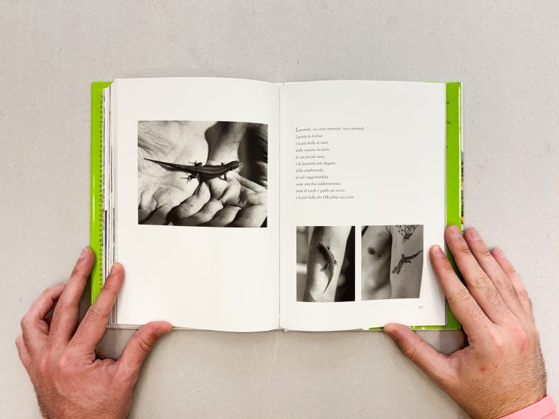 Il-giardino-di-Derek-Jarman_Howard-Sooley_009