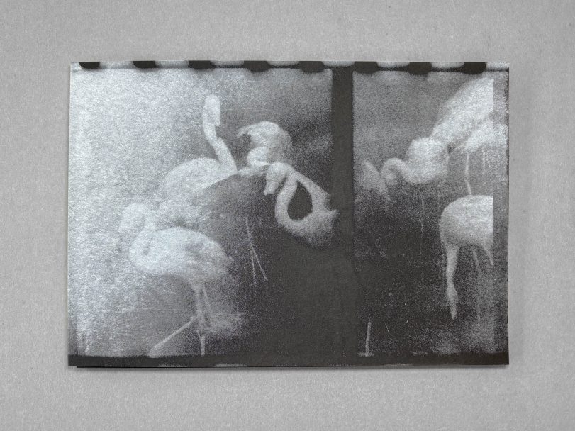 In-Limbo_Gabrielle-Duplantier_001