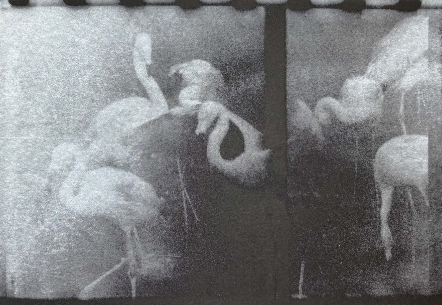 In-Limbo_Gabrielle-Duplantier_002