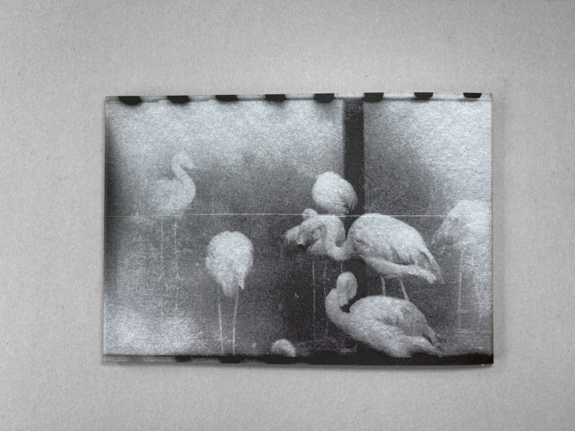 In-Limbo_Gabrielle-Duplantier_010