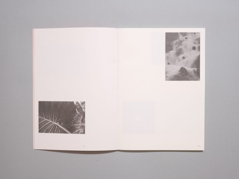 Inflorescences_AAVV_004