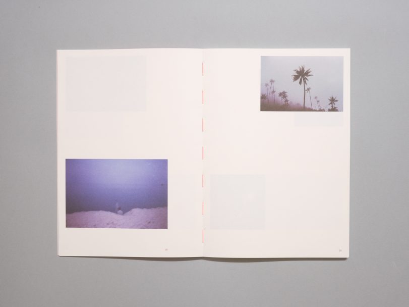 Inflorescences_AAVV_005