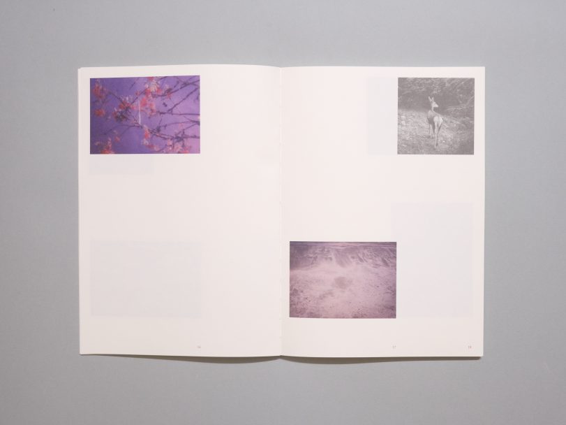 Inflorescences_AAVV_006