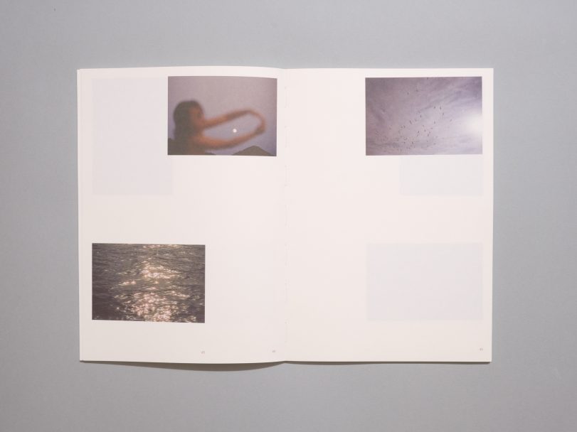 Inflorescences_AAVV_008