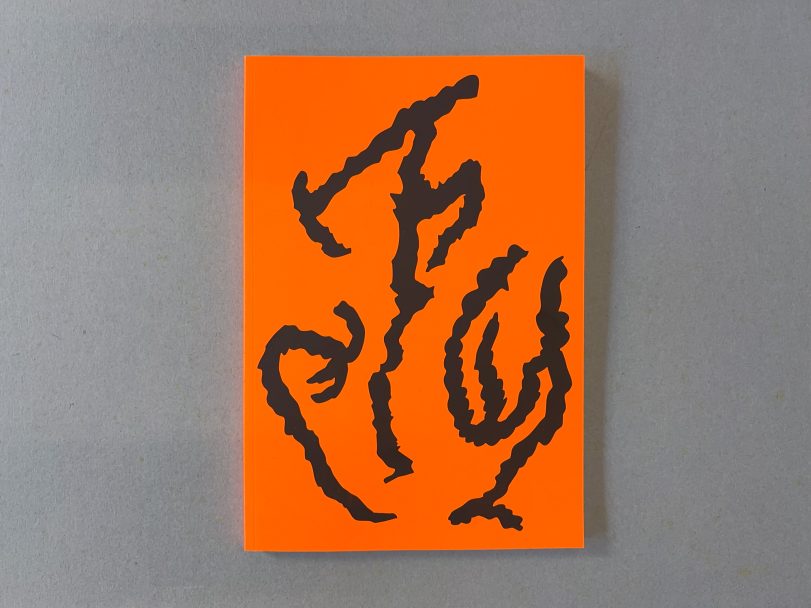 La-città-è-bellissima_CANEDICODA_001