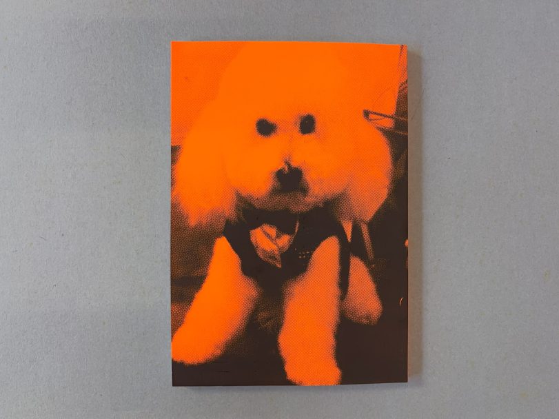 La-città-è-bellissima_CANEDICODA_010