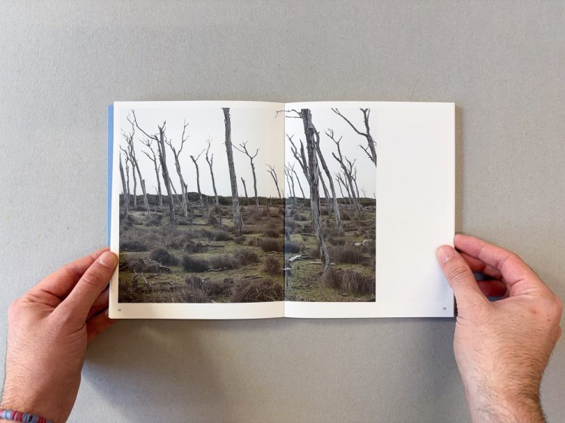 Limo_Clemente-Pardini_005