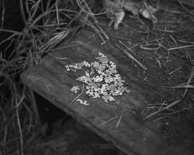 Papucci_Jacopo_low04