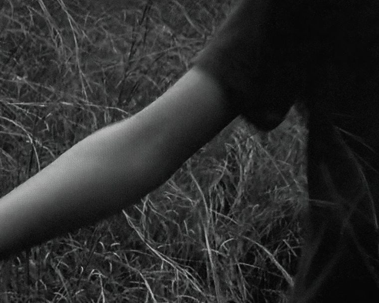 Papucci_Jacopo_low18