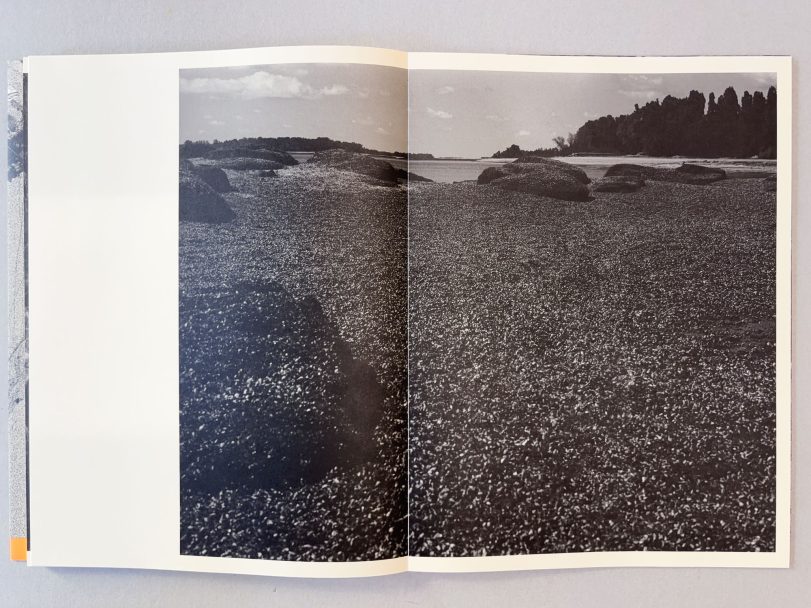 Radiations-of-war_Yana-Kononova_009