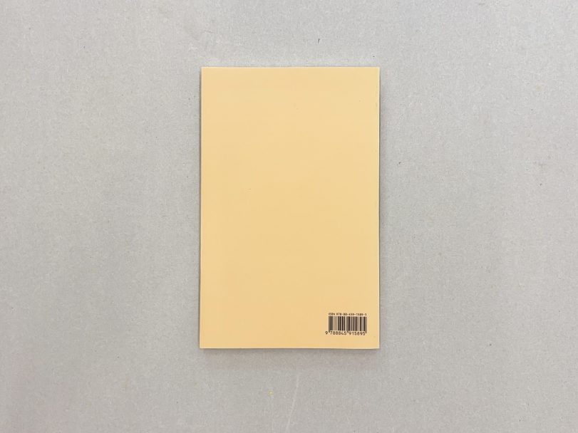 Riflessi-e-ombre_Saul-Steinberg_003