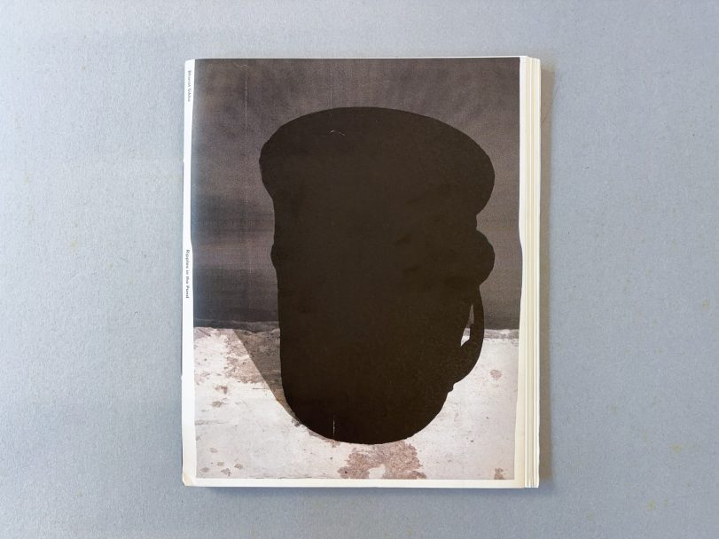 Ripples-in-the-pond_Bharat-Sikka_001