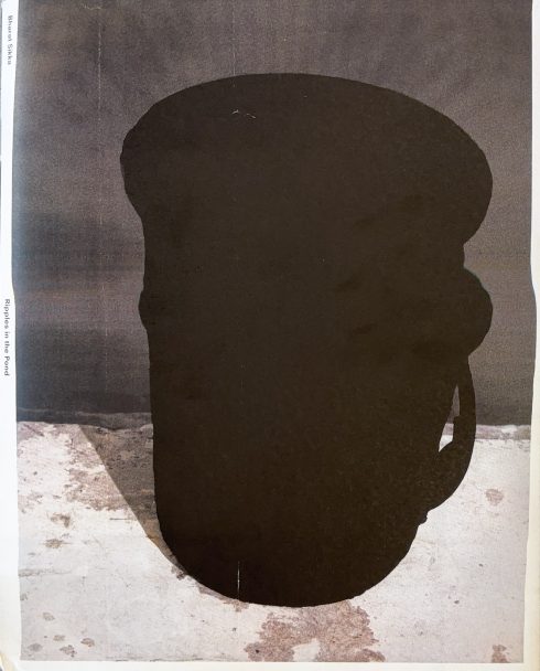 Ripples-in-the-pond_Bharat-Sikka_002