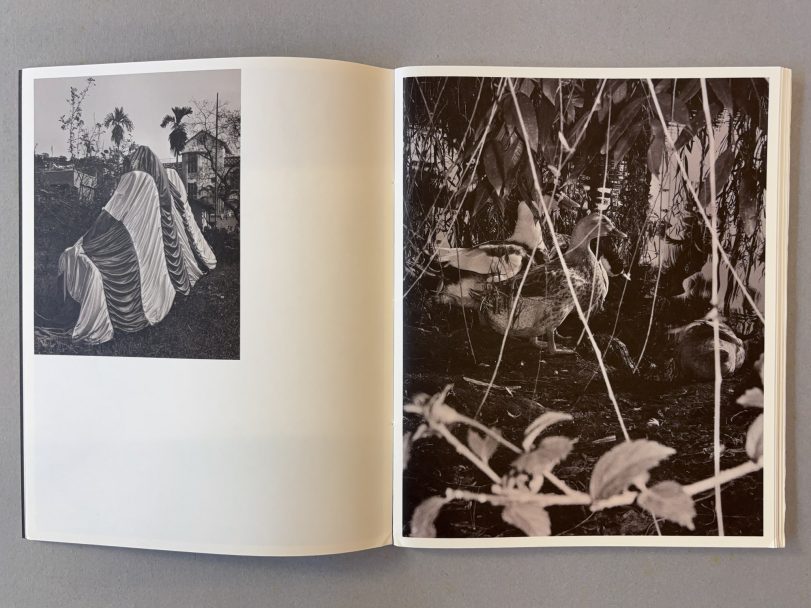 Ripples-in-the-pond_Bharat-Sikka_003