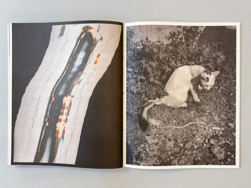 Ripples-in-the-pond_Bharat-Sikka_009