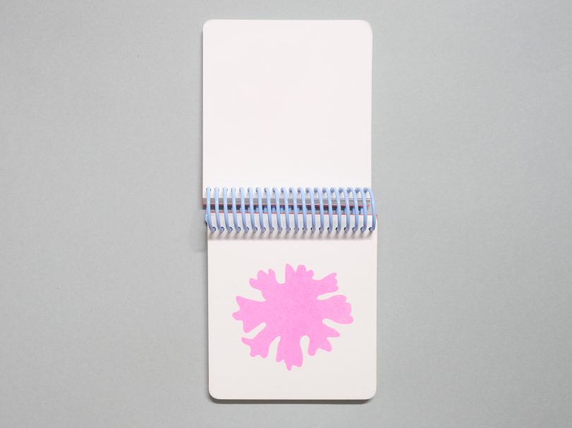 Sibillina_Caterina-Morigi_007