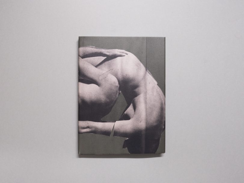 Wild-Flowers_James-Gallagher_001