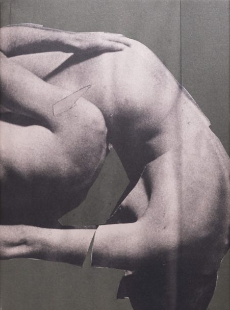 Wild-Flowers_James-Gallagher_002