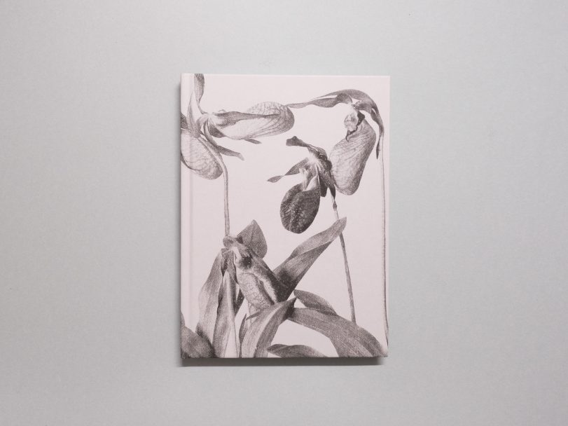 Wild-Flowers_James-Gallagher_003