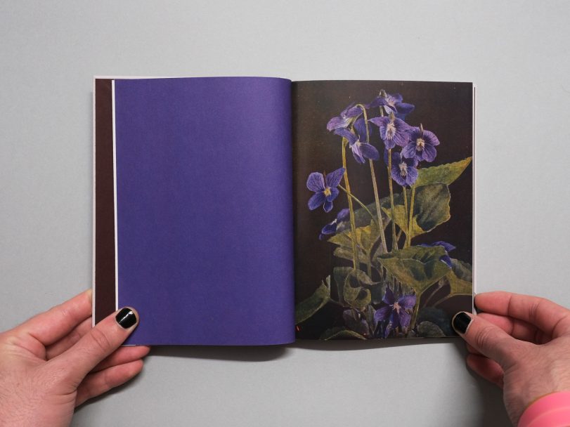 Wild-Flowers_James-Gallagher_005