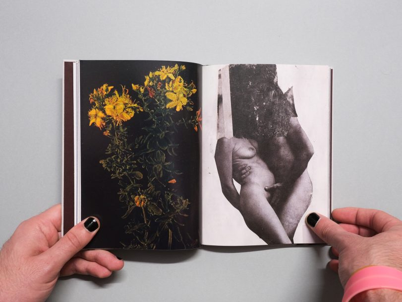 Wild-Flowers_James-Gallagher_007