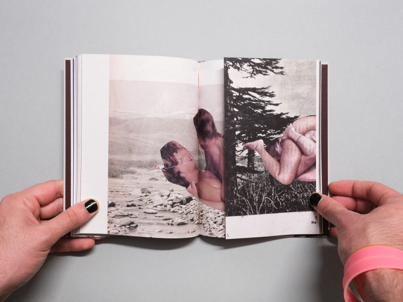 Wild-Flowers_James-Gallagher_009