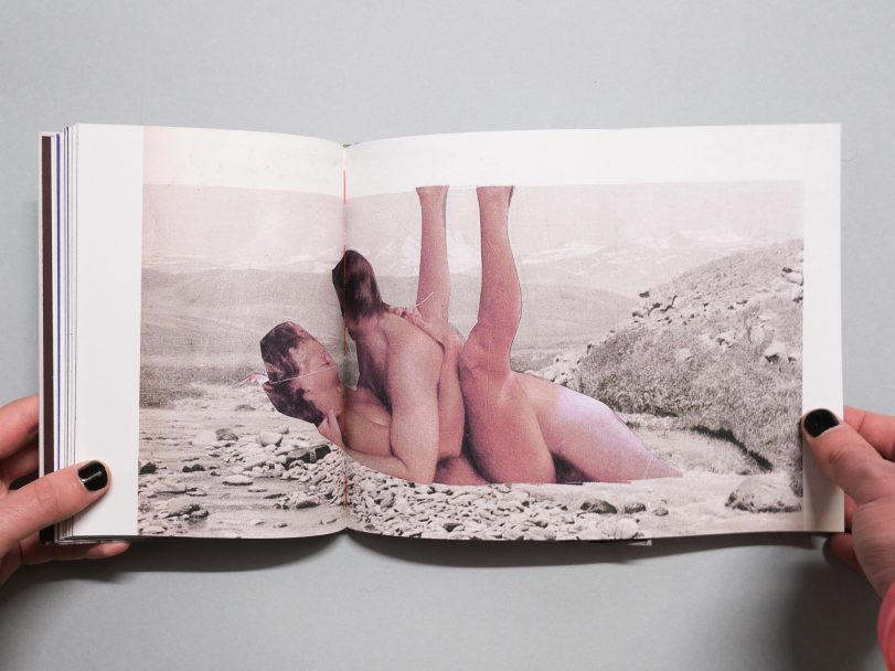 Wild-Flowers_James-Gallagher_010