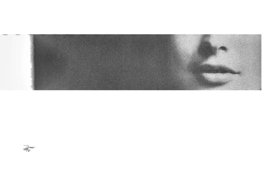 Cavalli_Lorenzo-Castore_002