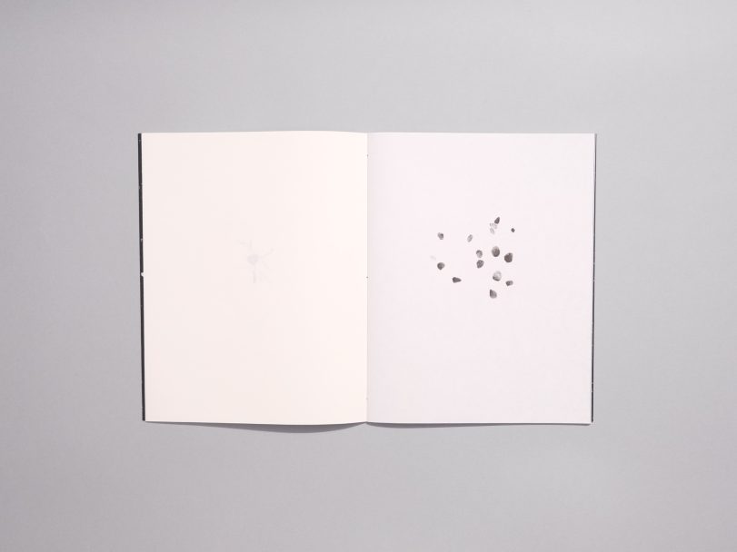 Clara-Gassul-Quer_007