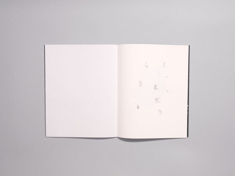 Clara-Gassul-Quer_009