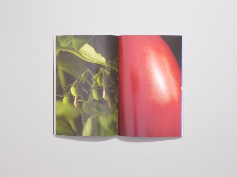 ComunitàPostvarietali_006