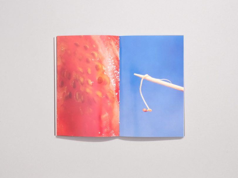 ComunitàPostvarietali_007