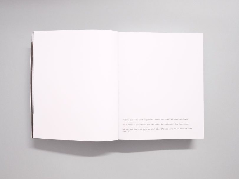 Dimma-Brume-Mist_005