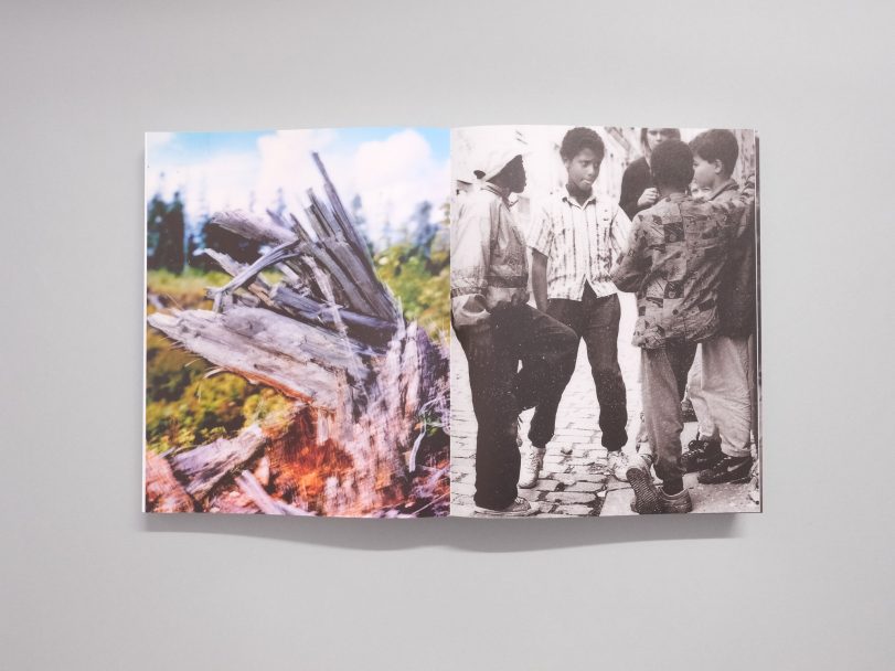 Dimma-Brume-Mist_008