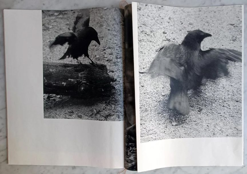 Dissonances_Boris_001