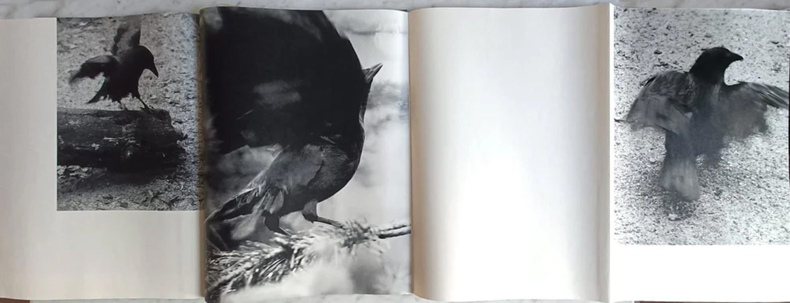 Dissonances_Boris_002