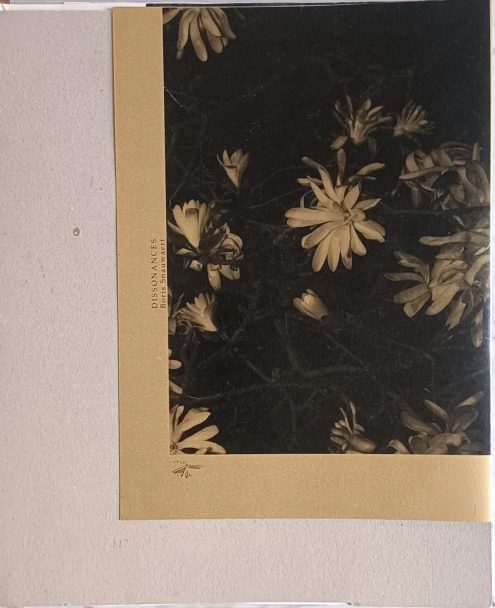 Dissonances_Boris_004