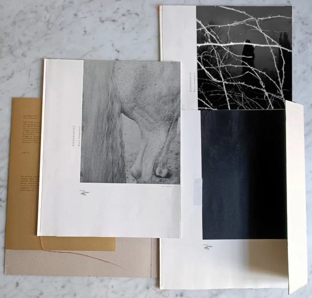 Dissonances_Boris_005