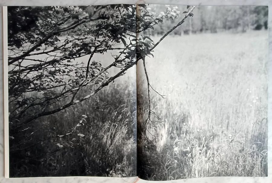 Dissonances_Boris_008