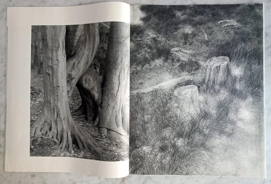 Dissonances_Boris_009