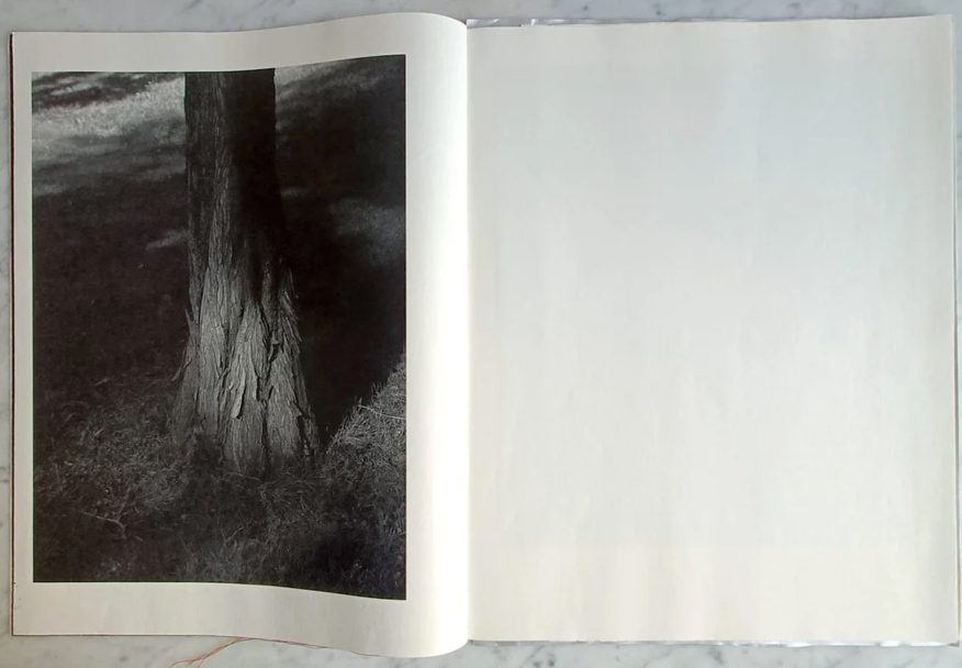 Dissonances_Boris_010