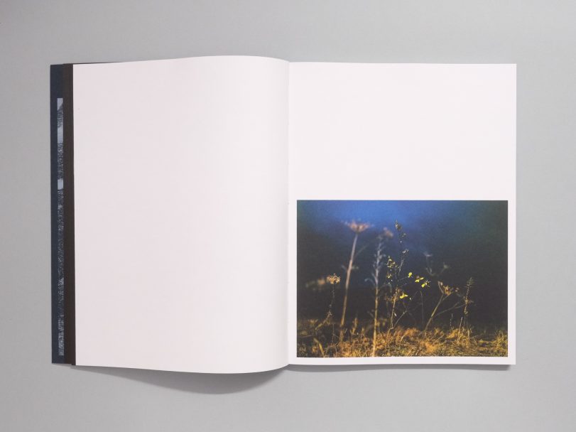 Hope-Walls-Cotton-Coddled_005